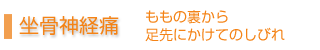 坐骨神経痛・ももの裏から足先にかけてのしびれ